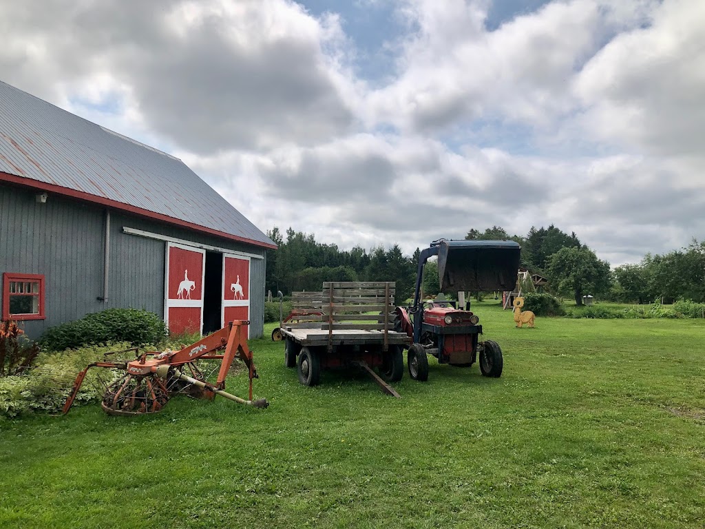 Ferme fibres & compagnie - Les alpagas dAldo | 375 Rang St Charles E, Saint-Alexandre-de-Kamouraska, QC G0L 2G0, Canada | Phone: (418) 495-5375