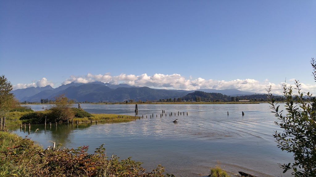 Deboville Slough | 3H8, Trans Canada Trail, Coquitlam, BC V3E 3H8, Canada