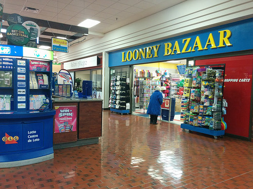Looney Bazaar | 1255 The Queensway, Etobicoke, ON M8Z 1S2, Canada | Phone: (416) 255-6363