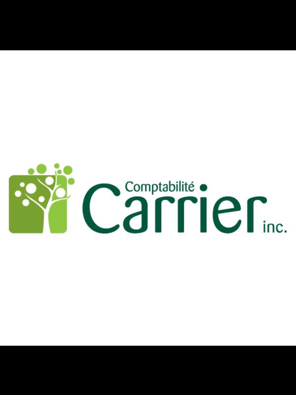 Comptabilite Carrier | 106A Rue Émilien Marcoux, Blainville, QC J7C 0B5, Canada | Phone: (450) 433-5791