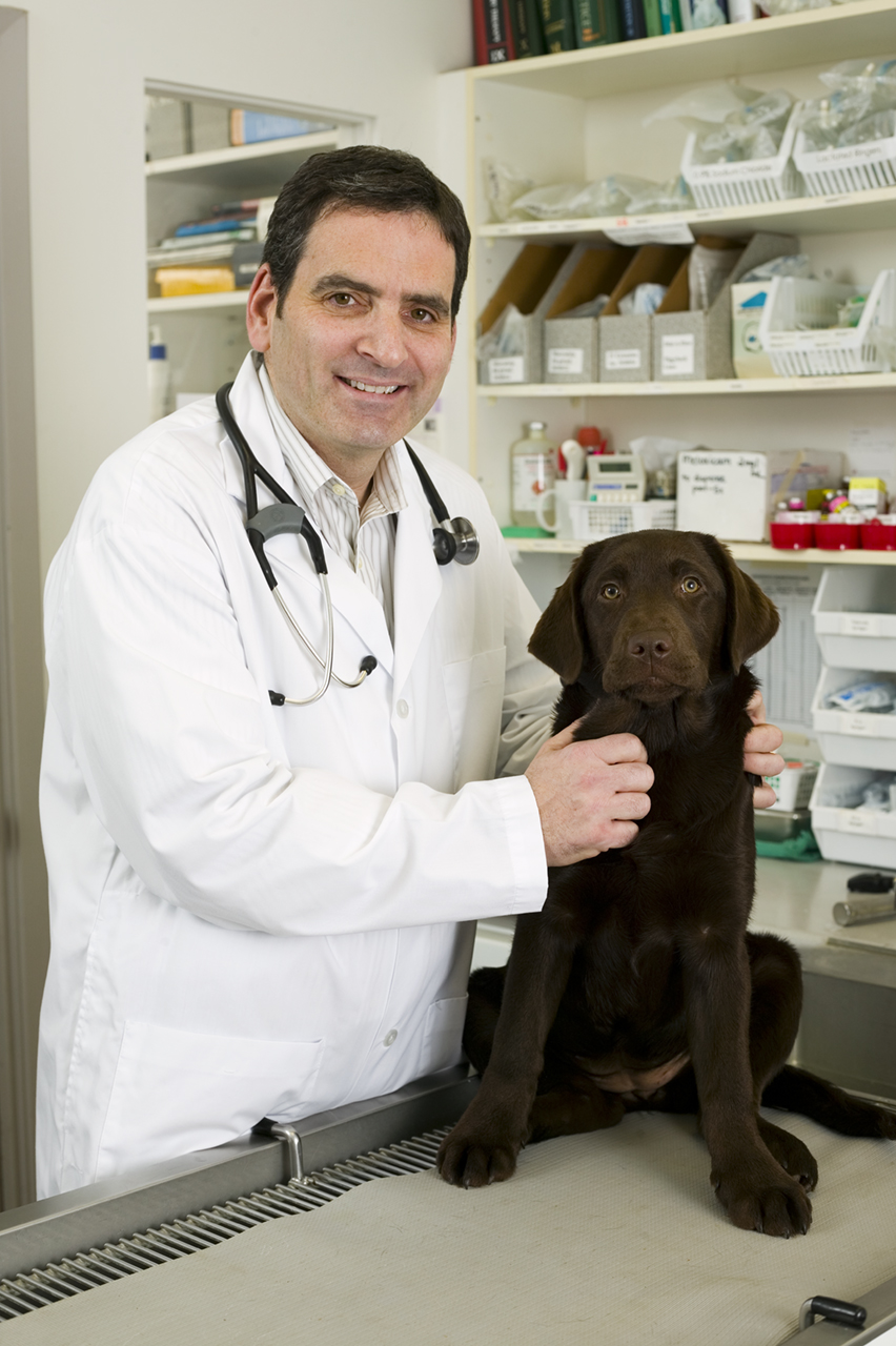 North Yonge Veterinary Hospital | 17725 Yonge St #18, Newmarket, ON L3Y 7C1, Canada | Phone: (905) 830-0437