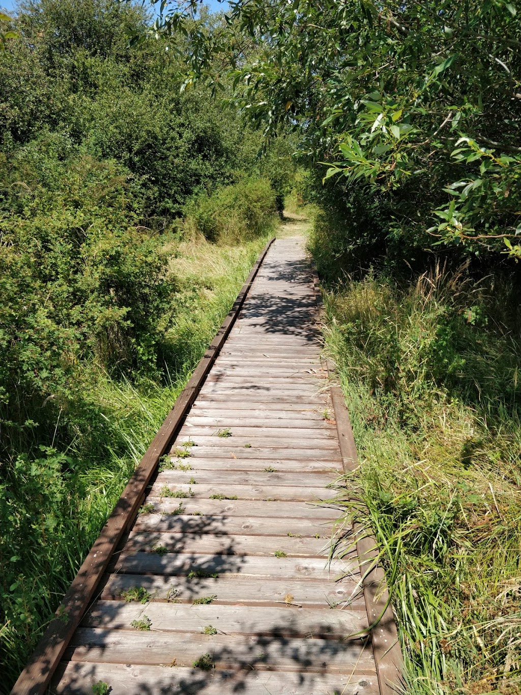 Weeks Wetland Preserve | 35-43 Weeks Point Way, Lopez Island, WA 98261, USA