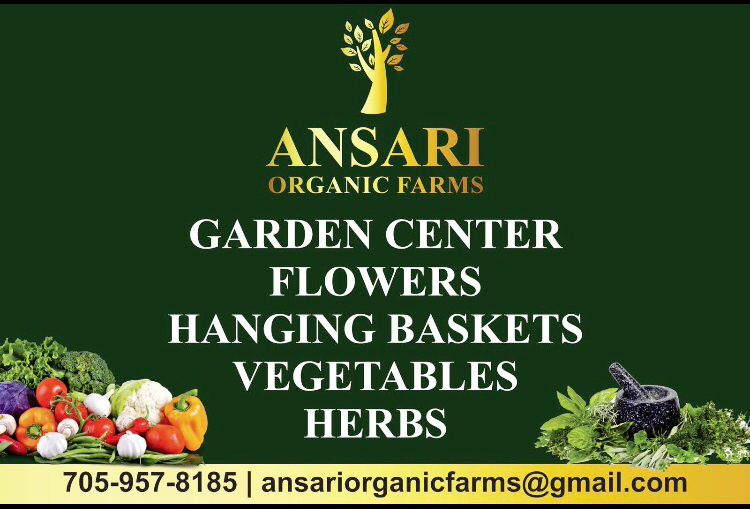 Ansari Organic Farms | 3502 Hwy 7, Norwood, ON K0L 2V0, Canada | Phone: (705) 957-8185