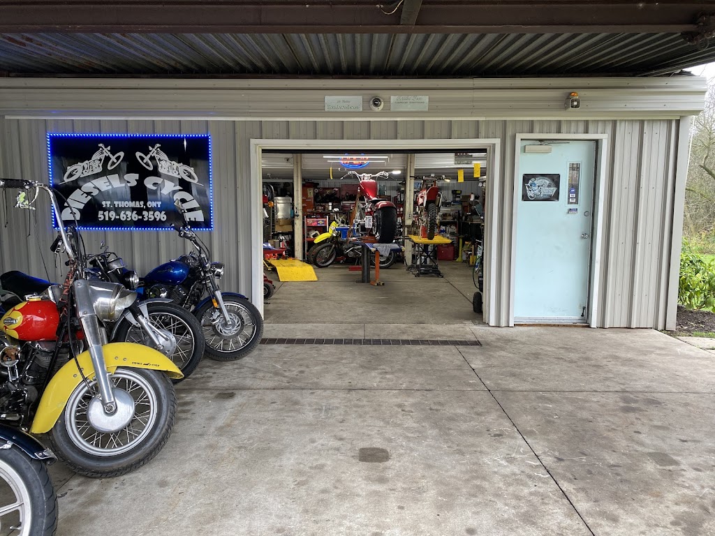 Diesels Cycle & Small Engine Repair | 9720 Tower Rd, St Thomas, ON N5P 3S7, Canada | Phone: (519) 636-3596