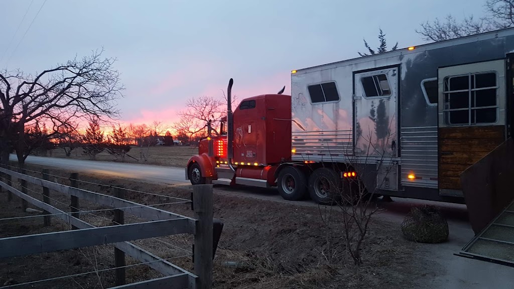 Northern Horse Transport | 37063 River Rd, Markerville, AB T4G 0M9, Canada | Phone: (587) 433-5850