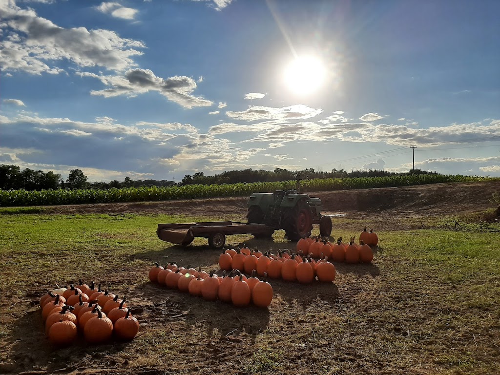 Caradoc Mountain Pumpkin farm | Glengyle Dr, Strathroy, ON N7G 3H3, Canada | Phone: (519) 868-7244