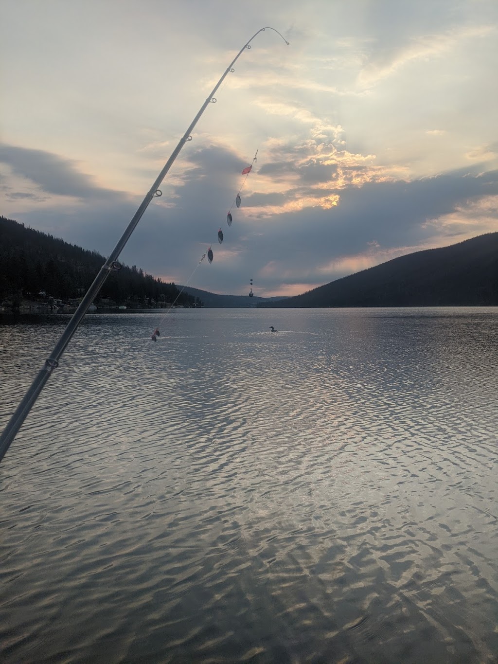 Marigold Fishing Resort | 2414 Loon Lake Rd, Cache Creek, BC V0K 1H1, Canada | Phone: (250) 459-2579