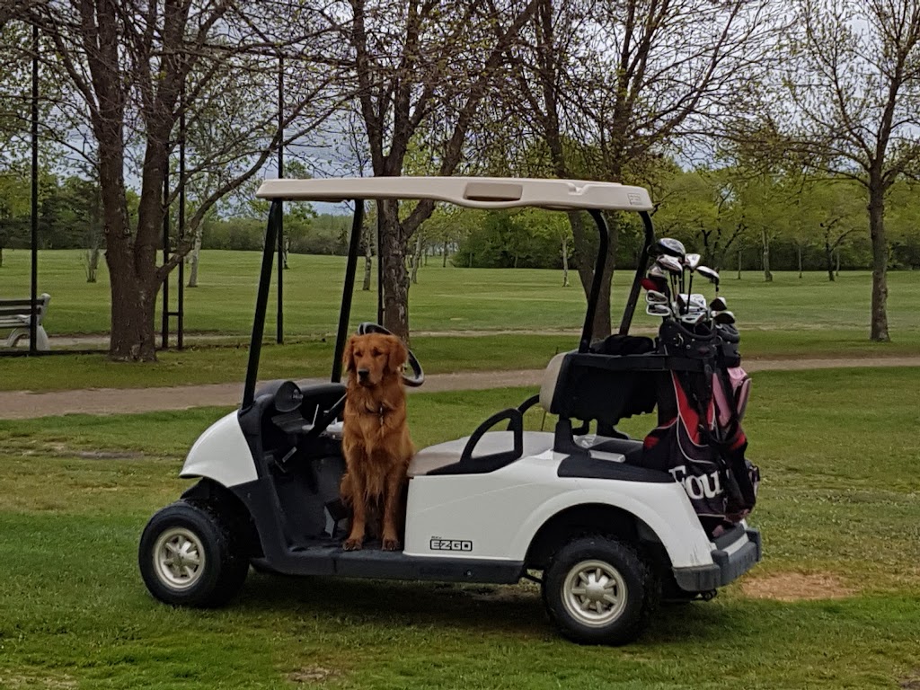 Pilot Mound Town & Country Golf Club | Louise, MB R0G 1P0, Canada | Phone: (204) 825-2766