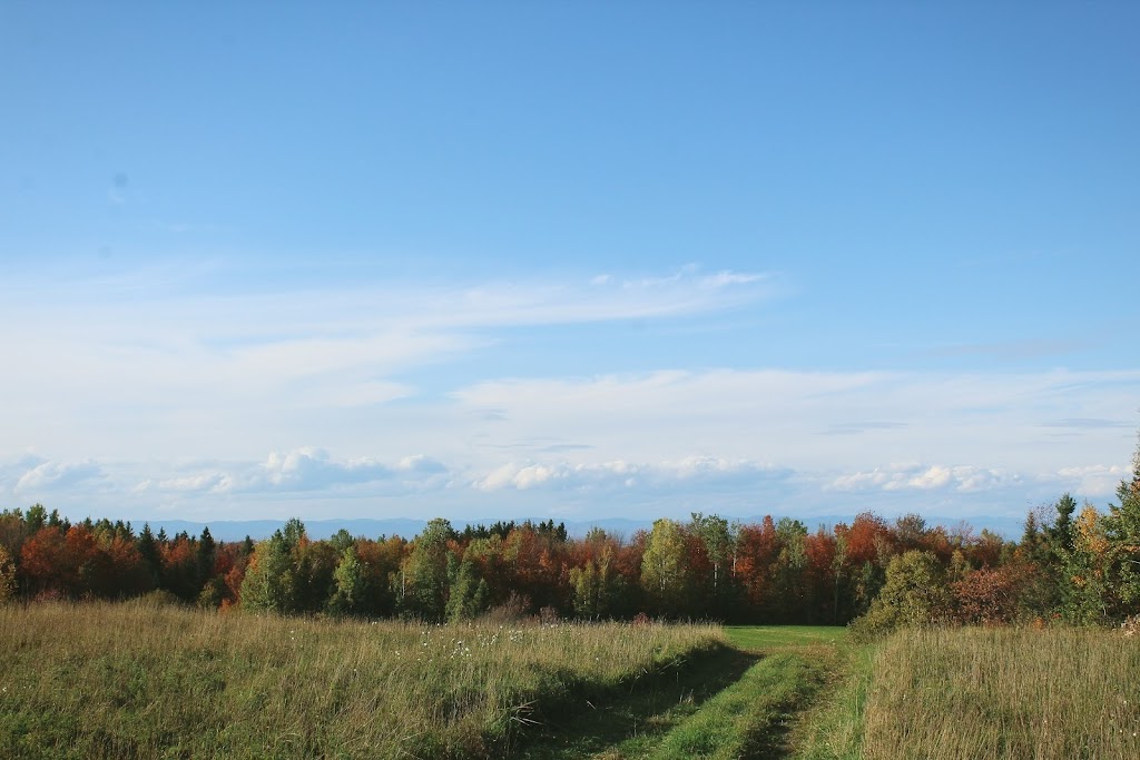 Domaine du Grand Corbeau | 65 2e Rang, Saint-Raphaël, QC G0R 4C0, Canada | Phone: (438) 389-6261