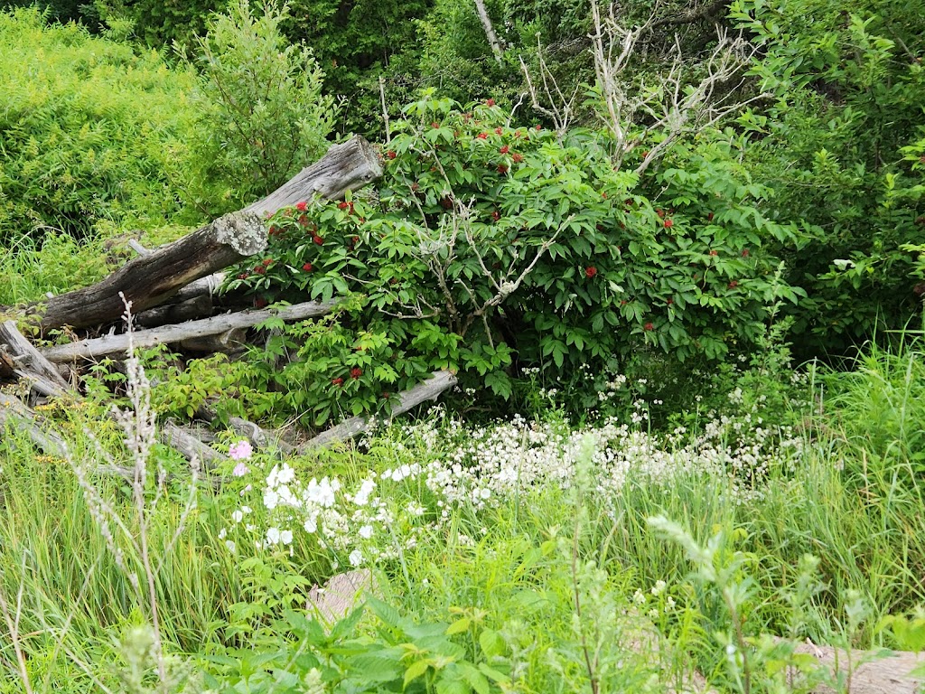 Ferme FM Levesque | 164 Rang du Mississipi, Saint-Germain, QC G0L 3G0, Canada | Phone: (418) 492-1541