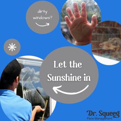 Dr.Squeeg | 273 Kensington Ave, Ingersoll, ON N5C 2B4, Canada | Phone: (226) 228-5546