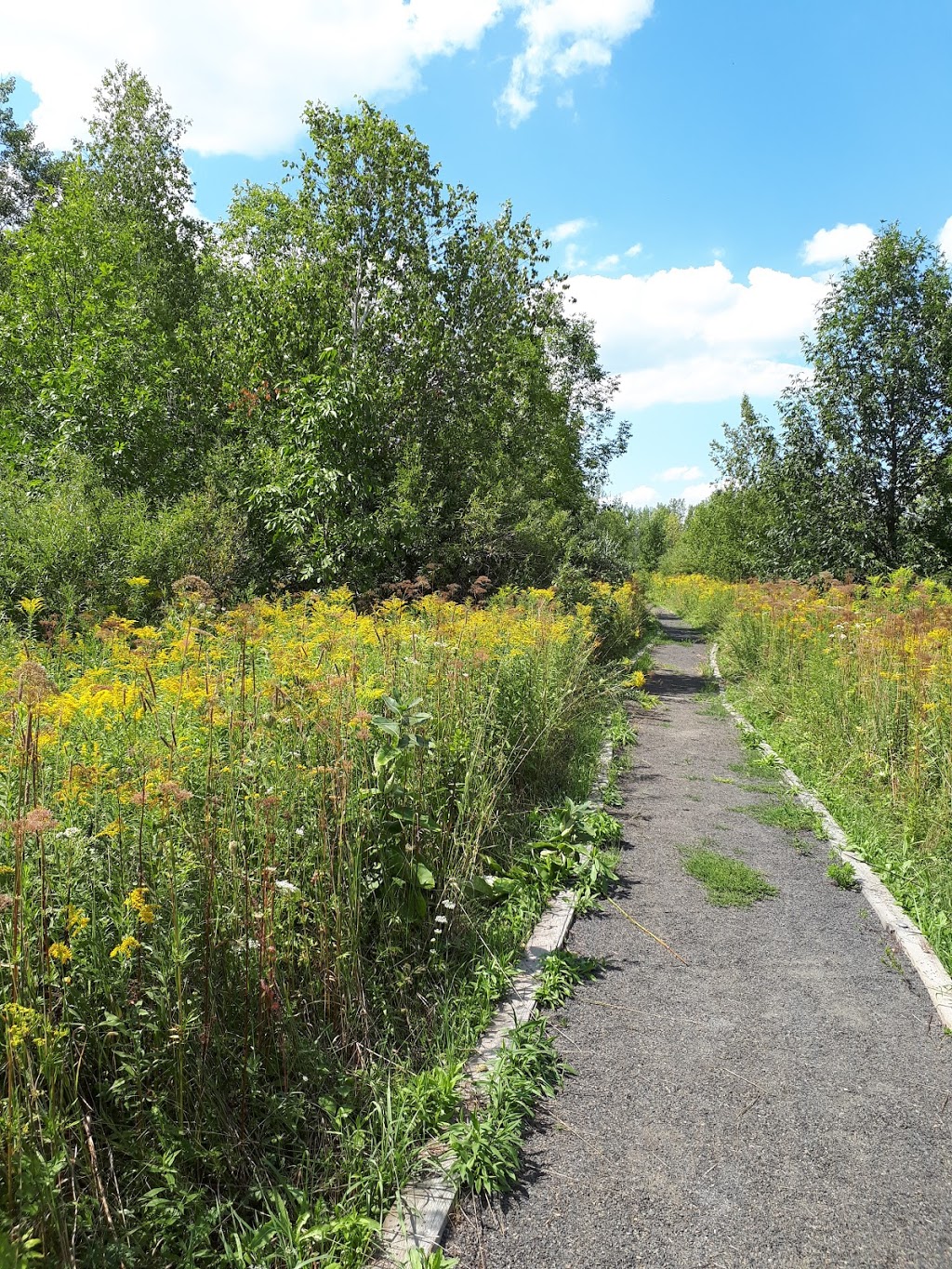 Réserve naturelle du Boisé-Du Tremblay | Rue J.-A.-Bombardier, Boucherville, QC J4B 8P1, Canada