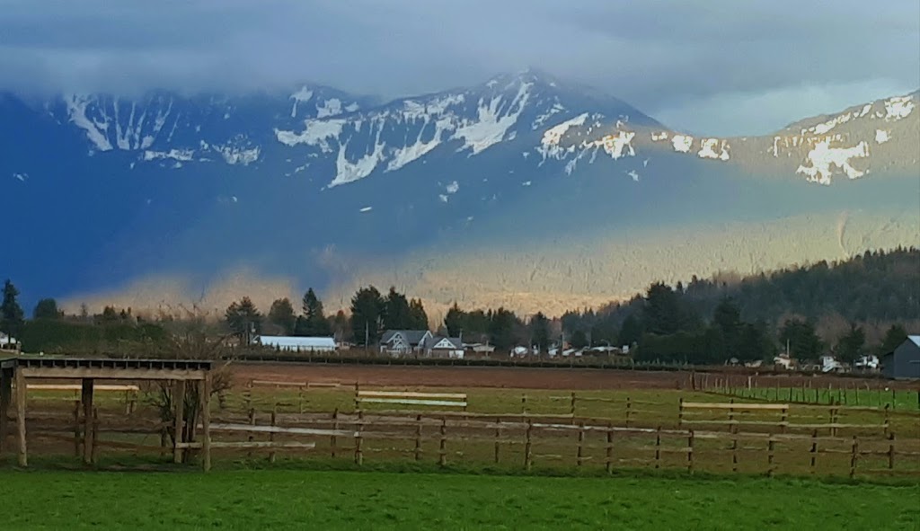 Little Mountain Greenhouses & Florist | 47558 Yale Rd, Chilliwack, BC V2P 7N1, Canada | Phone: (604) 792-7888