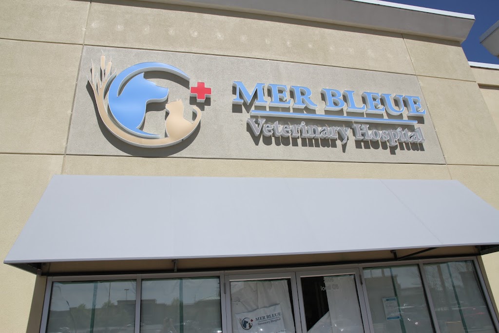 Mer Bleue Veterinary Hospital | 2006 Mer-Bleue Rd Unit G6, Orléans, ON K4A 0G2, Canada | Phone: (613) 837-6484