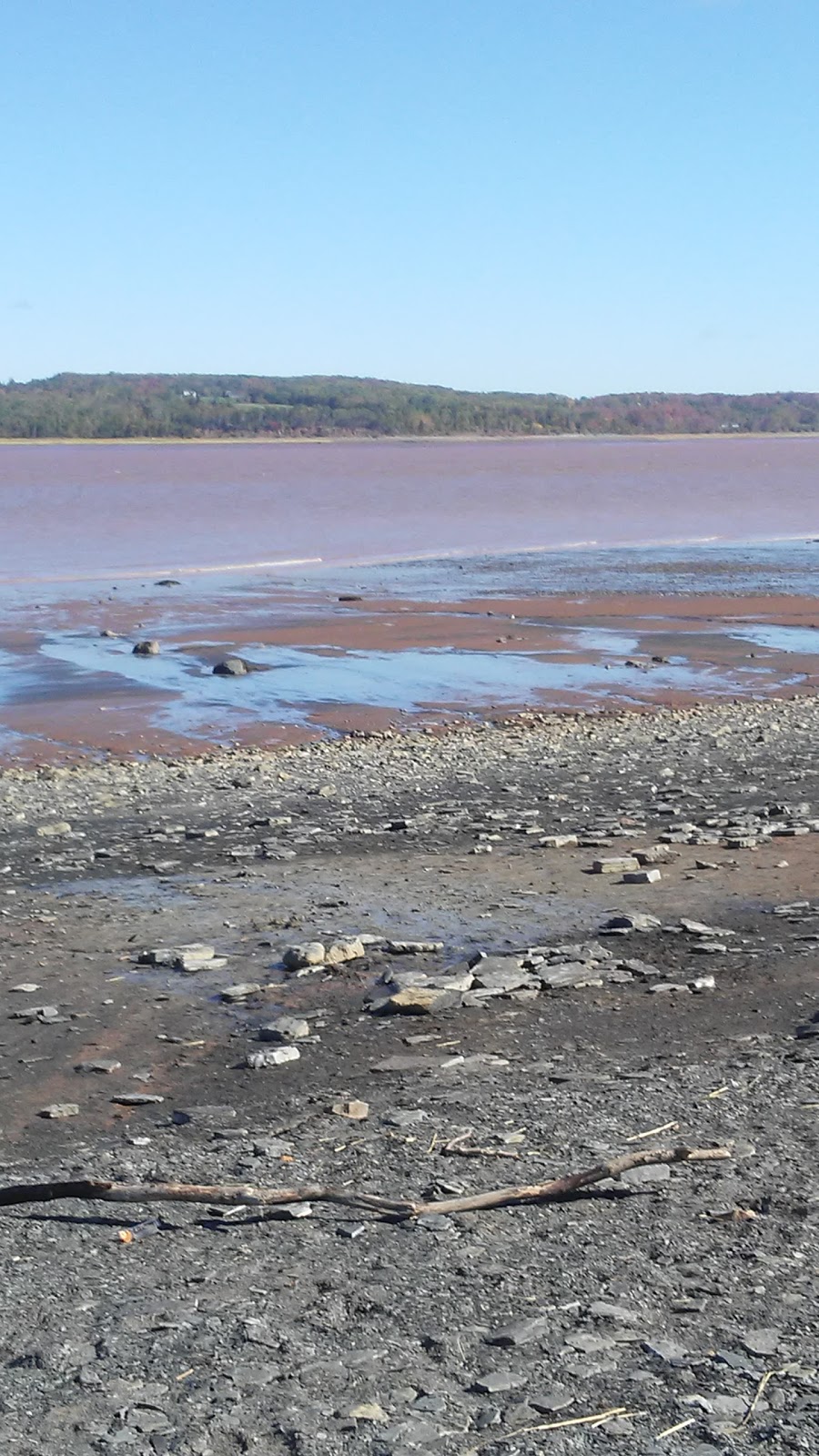 Blue Beach Fossil Museum | 127 Blue Beach Rd, Hantsport, NS B0P 1P0, Canada | Phone: (902) 790-9541