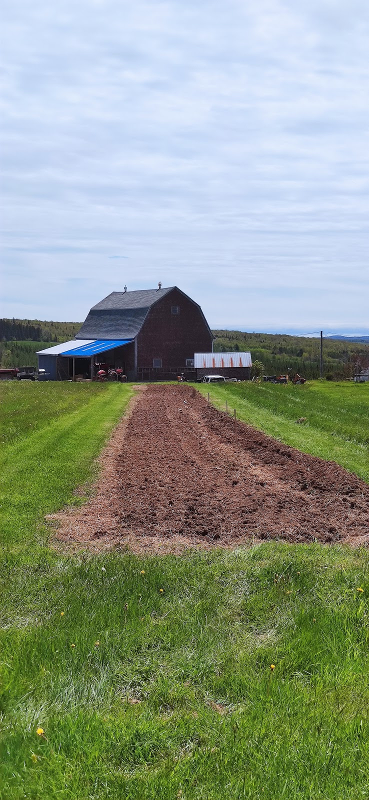 Big Belle Farm | 891 SW Ridge Rd, Mabou Station, NS B0E 1X0, Canada | Phone: (902) 956-9432