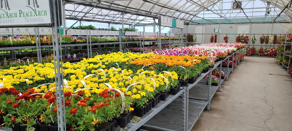 Peace Arch Nurseries | 4233 King George Blvd, Surrey, BC V3S 0L2, Canada | Phone: (604) 319-2684