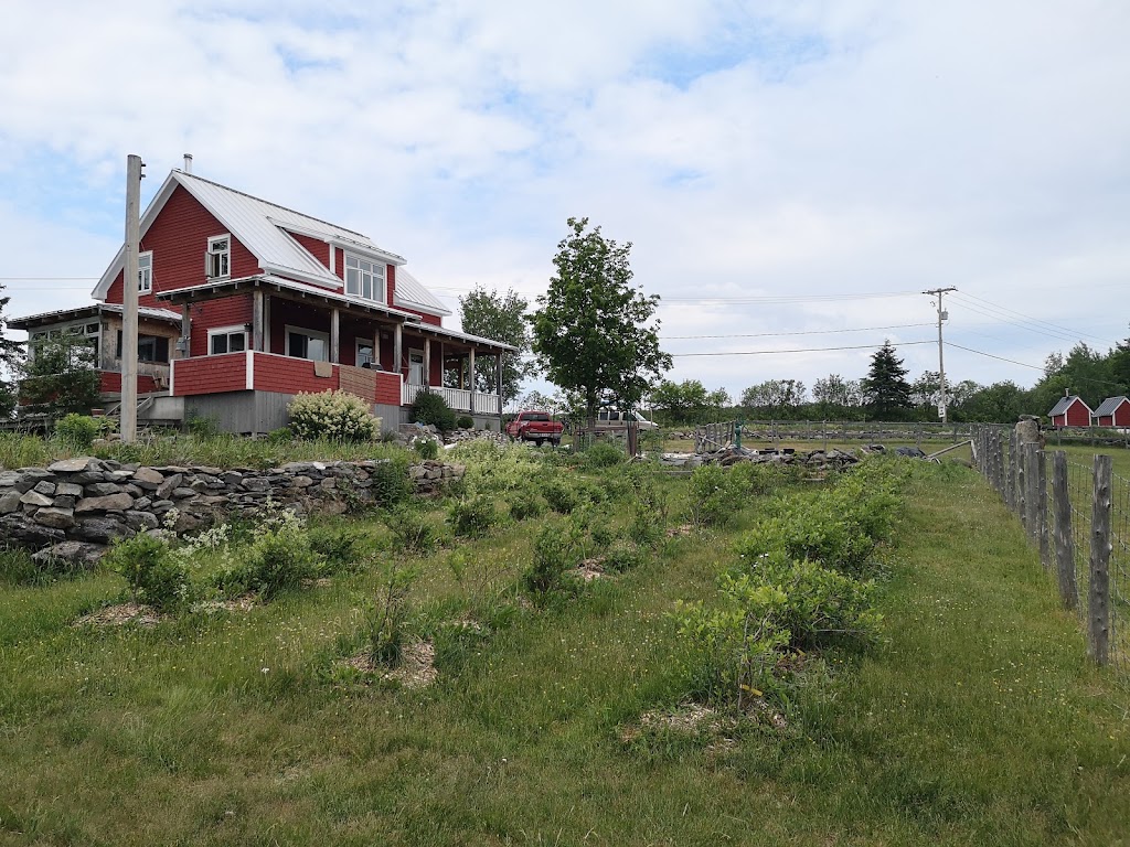 Ferme du Dolmen - Armagh | 171 QC-281, Armagh, QC G0R 1A0, Canada | Phone: (581) 309-7916