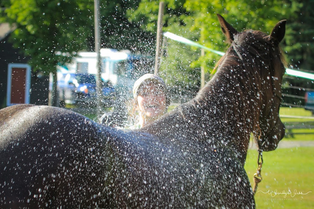 Harmony Hills Equestrian Centre | 181 Chemin Johnston, Cookshire-Eaton, QC J0B 1M0, Canada | Phone: (514) 808-2050