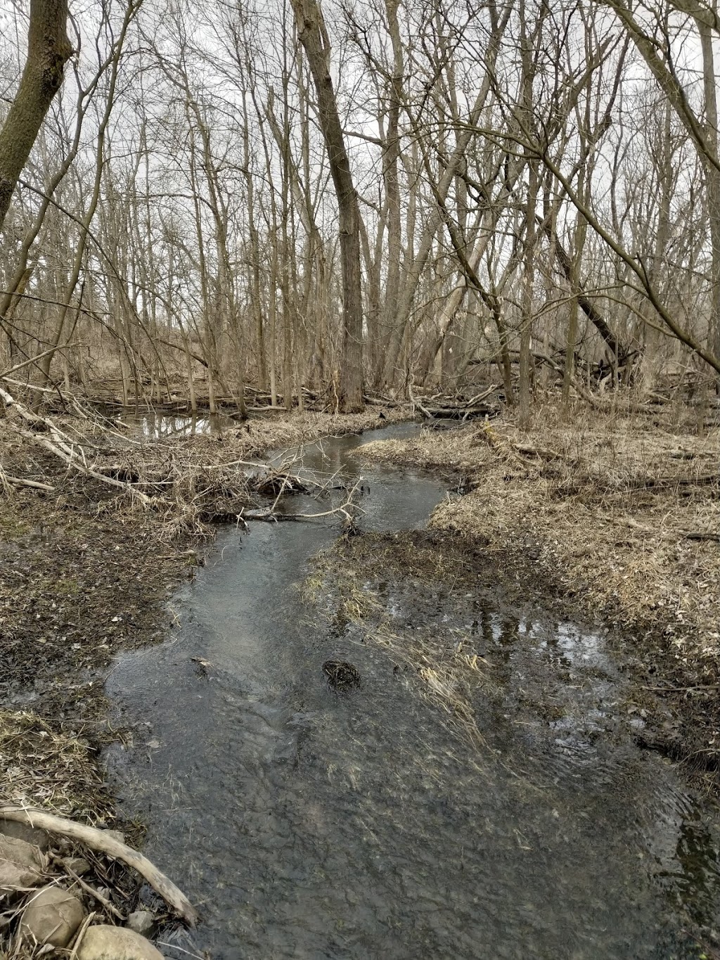 Seaton Trail | Seaton Hiking Trail, Pickering, ON L0H, Canada