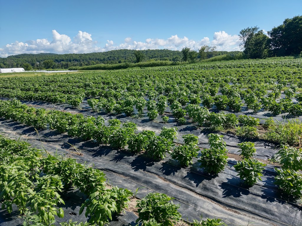 Plate-forme agricole de L’Ange-Gardien | 550 Chem. River, LAnge-Gardien, QC J8L 0M3, Canada | Phone: (819) 617-3133