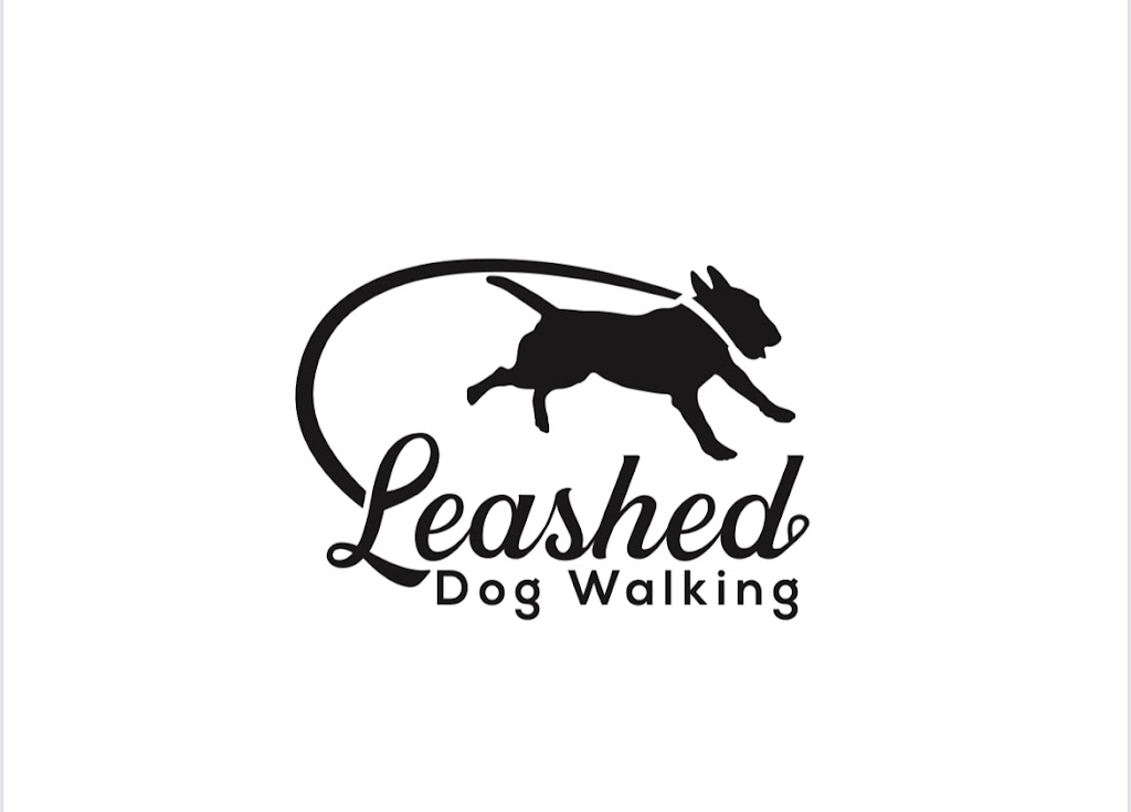Leashed | 12 Erie St, Collingwood, ON L9Y 1P4, Canada | Phone: (705) 333-2005