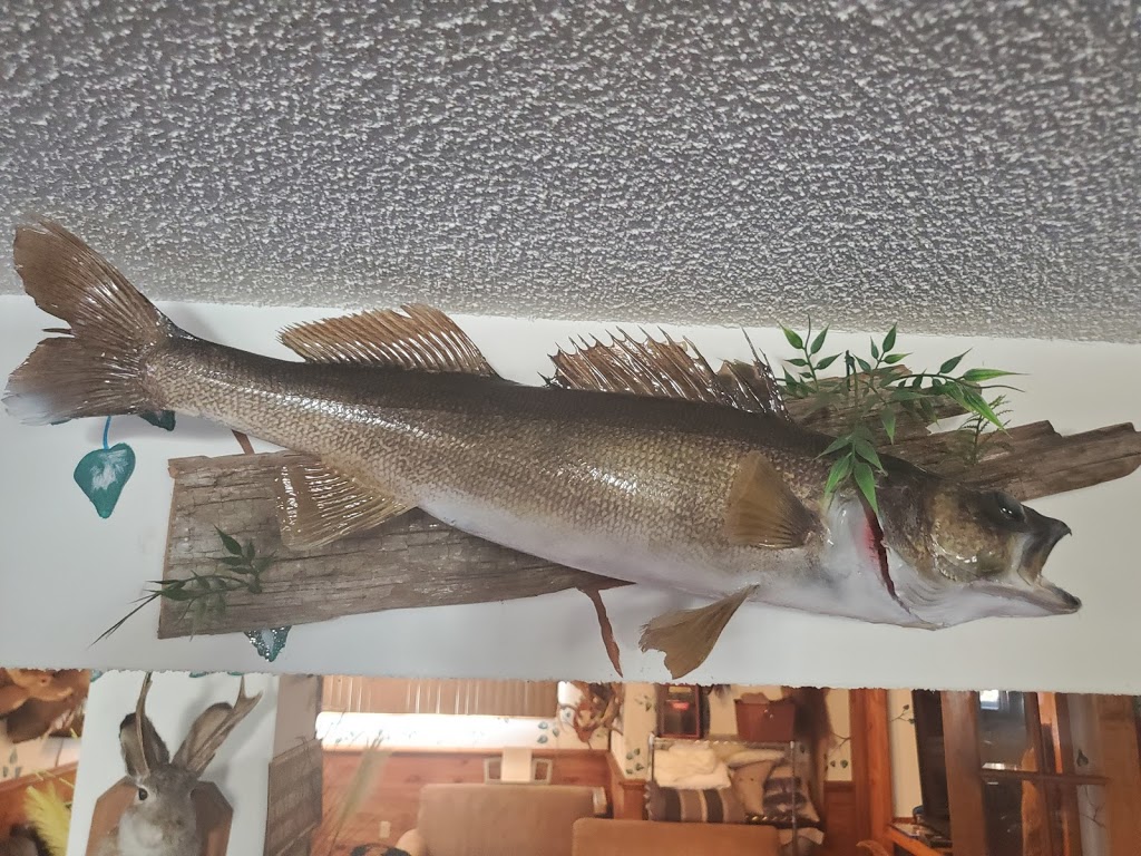 Racks Taxidermy | 3592 Linda St, Innisfil, ON L9S 2L2, Canada | Phone: (705) 294-1440