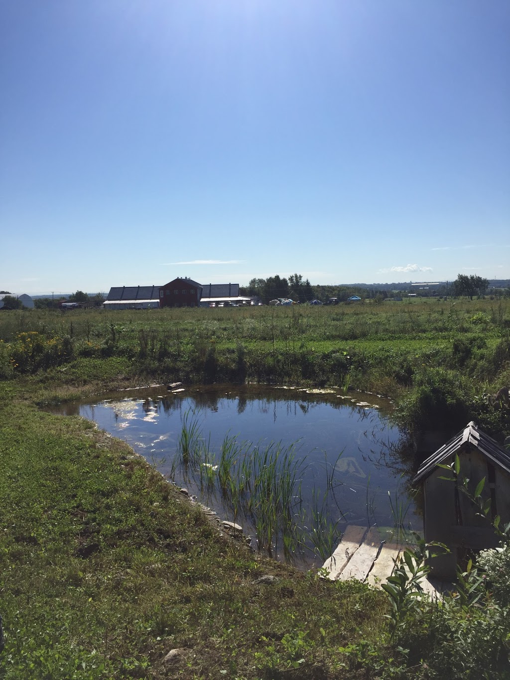 Farm City (Summer Farm) | 4260 Chemin Notre Dame, Saint-Augustin-de-Desmaures, QC G3A 1W8, Canada | Phone: (418) 878-9651