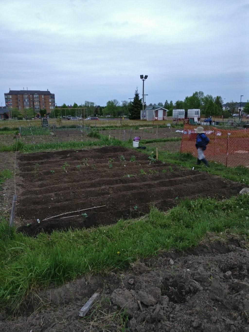 Hope and Unity Community Garden | Kitchener, ON N2E 3T1, Canada