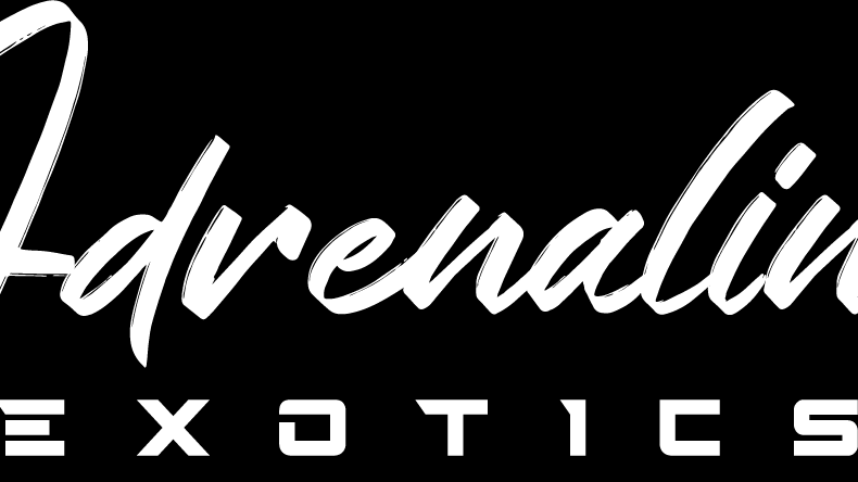 Adrenalin Exotics | 524 Laura Ave Unit 8, Alberta T4E 0A5, Canada | Phone: (403) 597-6370