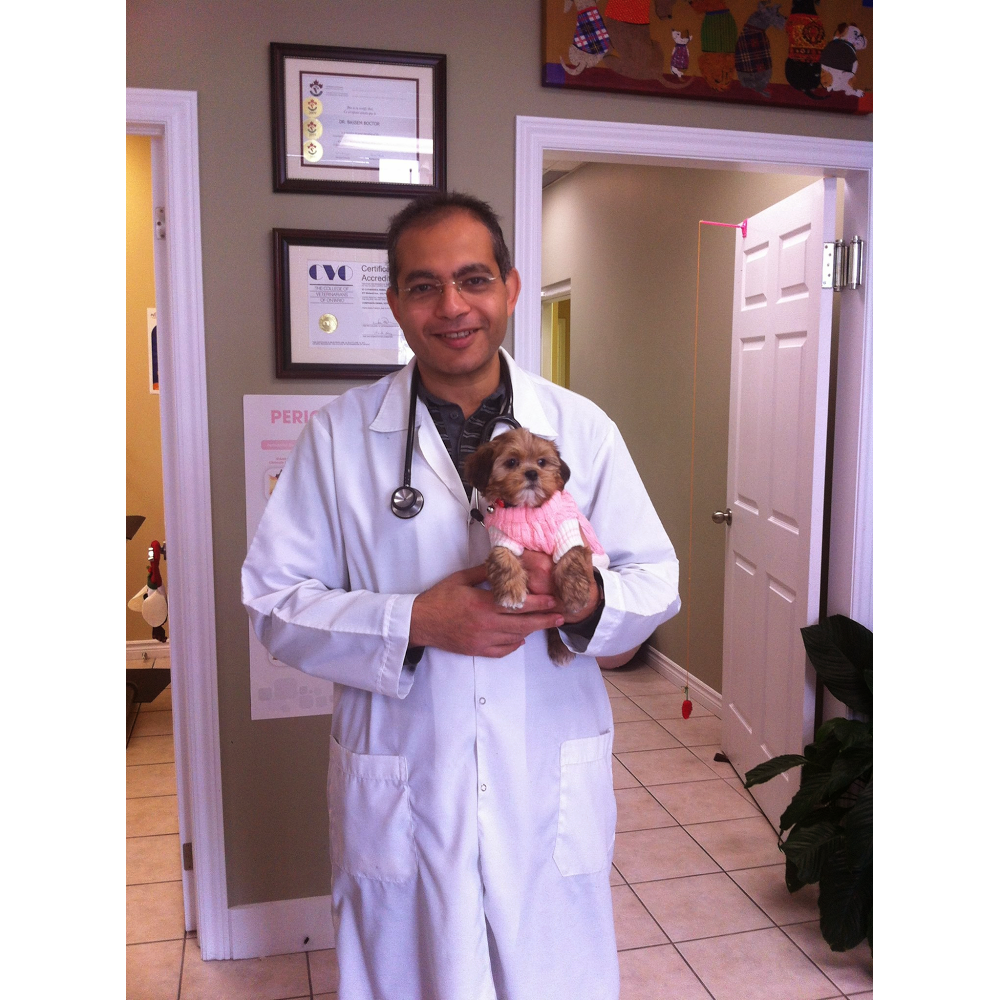 St. Catharines Animal Hospital | 277 Welland Ave, St. Catharines, ON L2R 2P7, Canada | Phone: (905) 650-8383