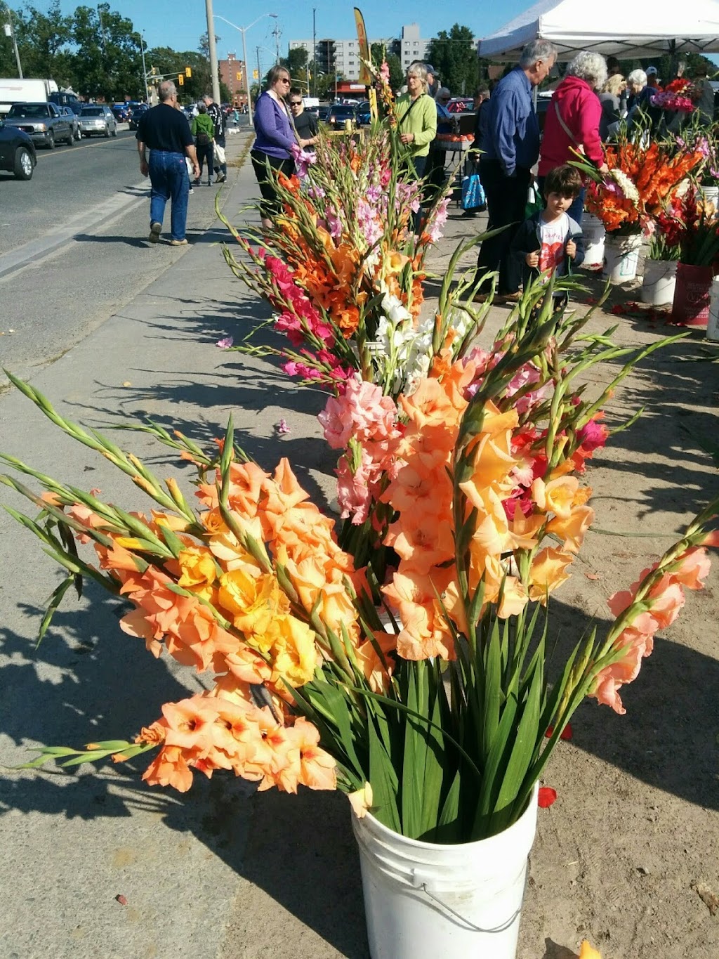 Peterborough Farmers Market | 136 Lansdowne St, Peterborough, ON K9J 1Y6, Canada | Phone: (705) 742-3276