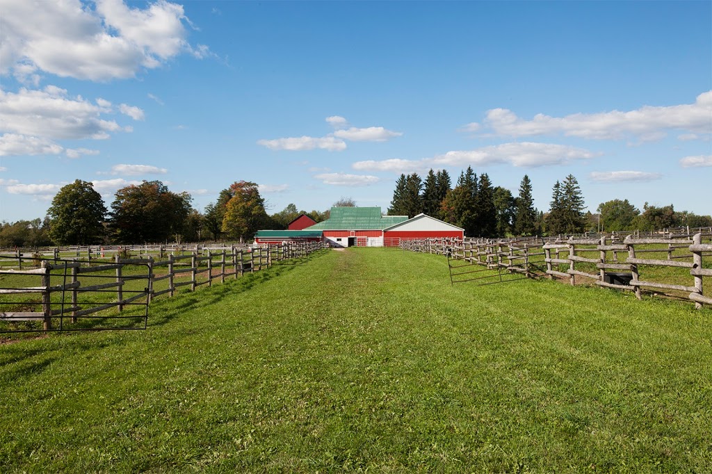 Crosswinds Stables | 635932 Euphrasia Holland Townline, Markdale, ON N0C 1H0, Canada | Phone: (519) 317-9686