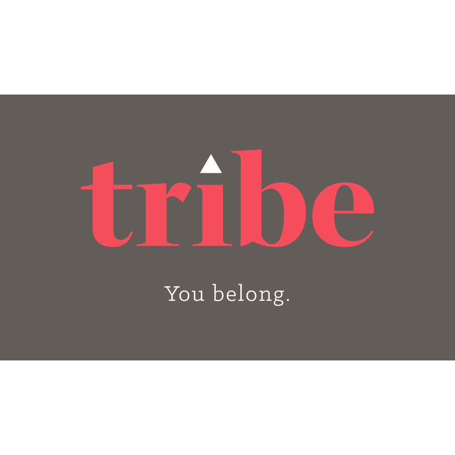 Tribe Financial Group | 1005 Skyview Dr #104, Burlington, ON L7P 5B1, Canada | Phone: (855) 464-6843