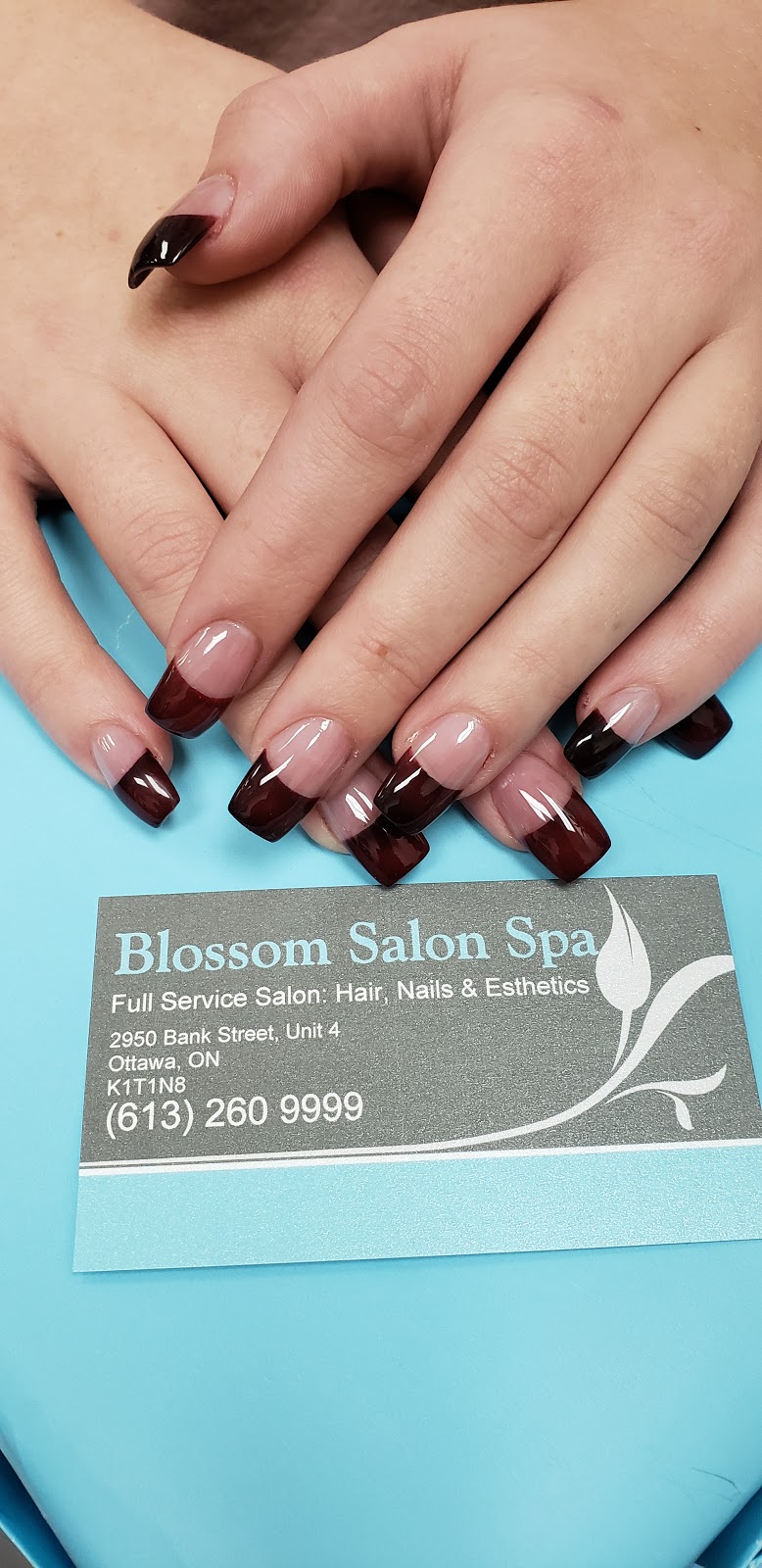 Blossom Salon Spa | 2950 Bank St, Gloucester, ON K1T 1N8, Canada | Phone: (613) 260-9999