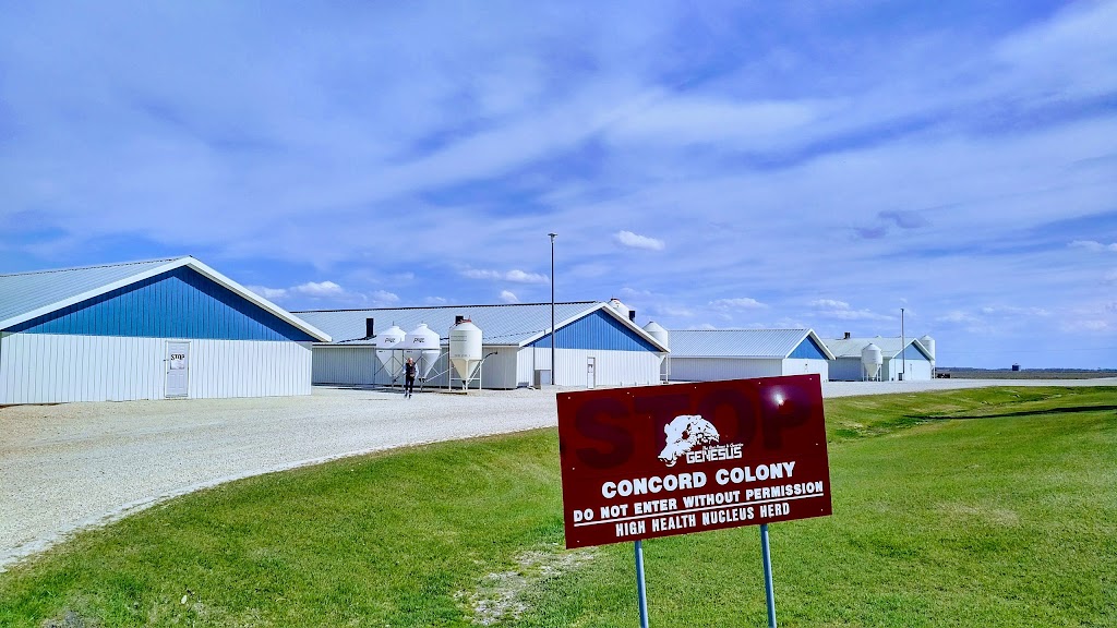 Concord Colony Farm | 74065 Blackdale Rd, Stony Mountain, MB R0C 3A0, Canada | Phone: (204) 344-5840