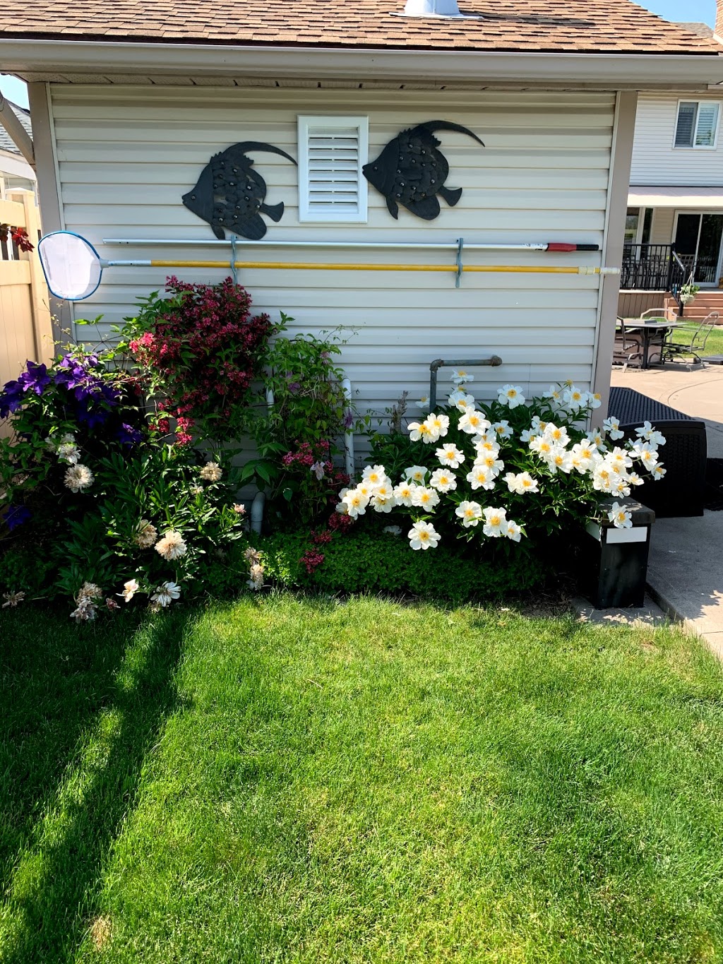 Daves Lawn Care | 410 Clare Ave, Welland, ON L3C 3B3, Canada | Phone: (905) 732-9849