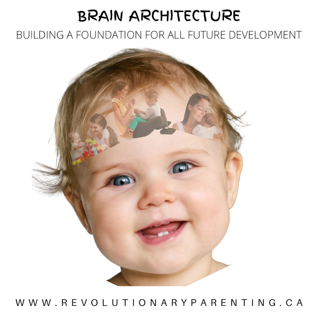 Revolutionary Parenting | 35 Shaw Cl, Red Deer, AB T4R 0L3, Canada | Phone: (403) 703-6323