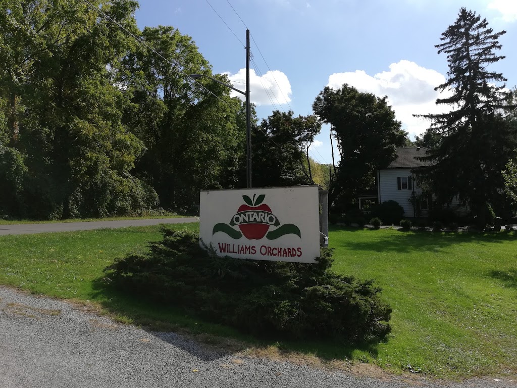 Fonthill Family Fruit Farm | 1724 Pelham St, Fonthill, ON L0S 1E6, Canada | Phone: (905) 892-5811