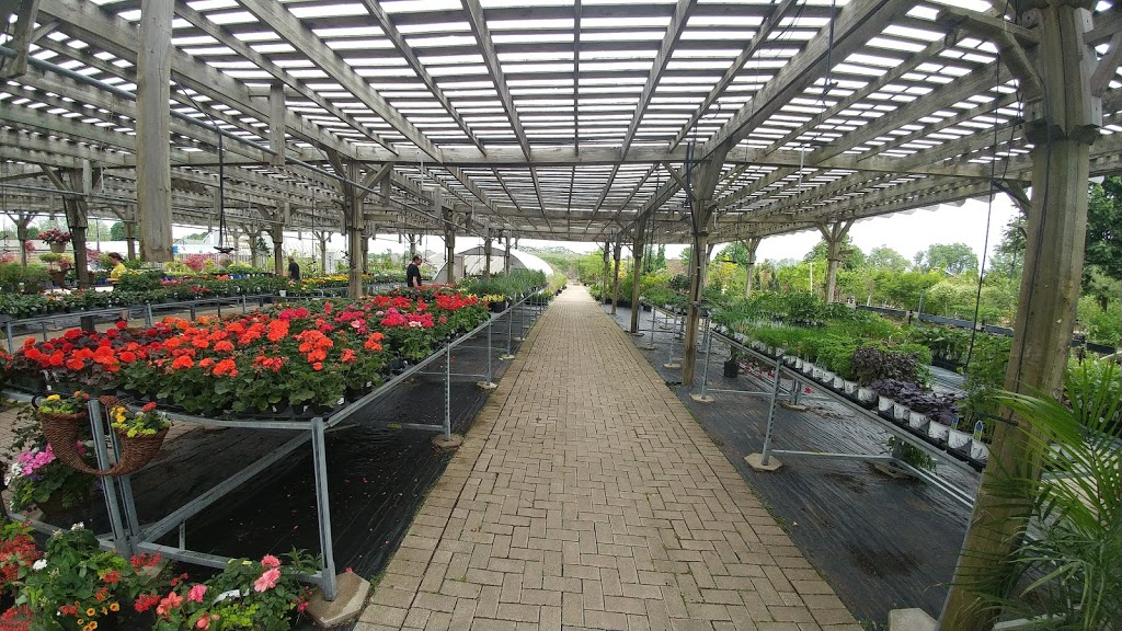 Acer Garden Ctr | 591 Fiddlers Green Rd, Ancaster, ON L9G 3L1, Canada | Phone: (905) 648-2200