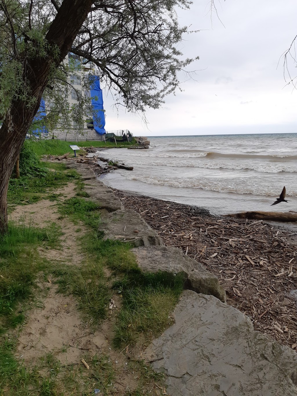 Lakeside Park Beach | 1 Lakeport Rd, St. Catharines, ON L2N 7R8, Canada | Phone: (905) 688-5600