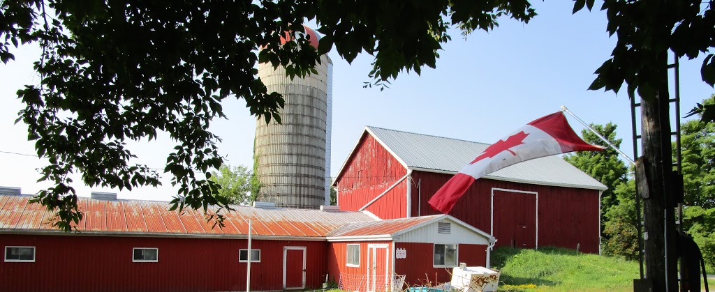 Datrix Alpacas @ Blue Barn Farm | 137 Grassy Rd, Omemee, ON K0L 2W0, Canada | Phone: (705) 799-2127