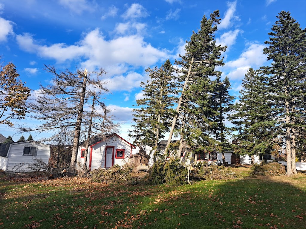 MacDonald Firewood & Tree Services | 906 NB-525, Sainte-Marie-de-Kent, NB E4S 2H5, Canada | Phone: (506) 233-9798