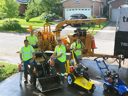 Tree Pro | Tree Removal & Stump Grinding | 169 Alderwood St, Whitchurch-Stouffville, ON L4A 5E6, Canada | Phone: (416) 568-6673