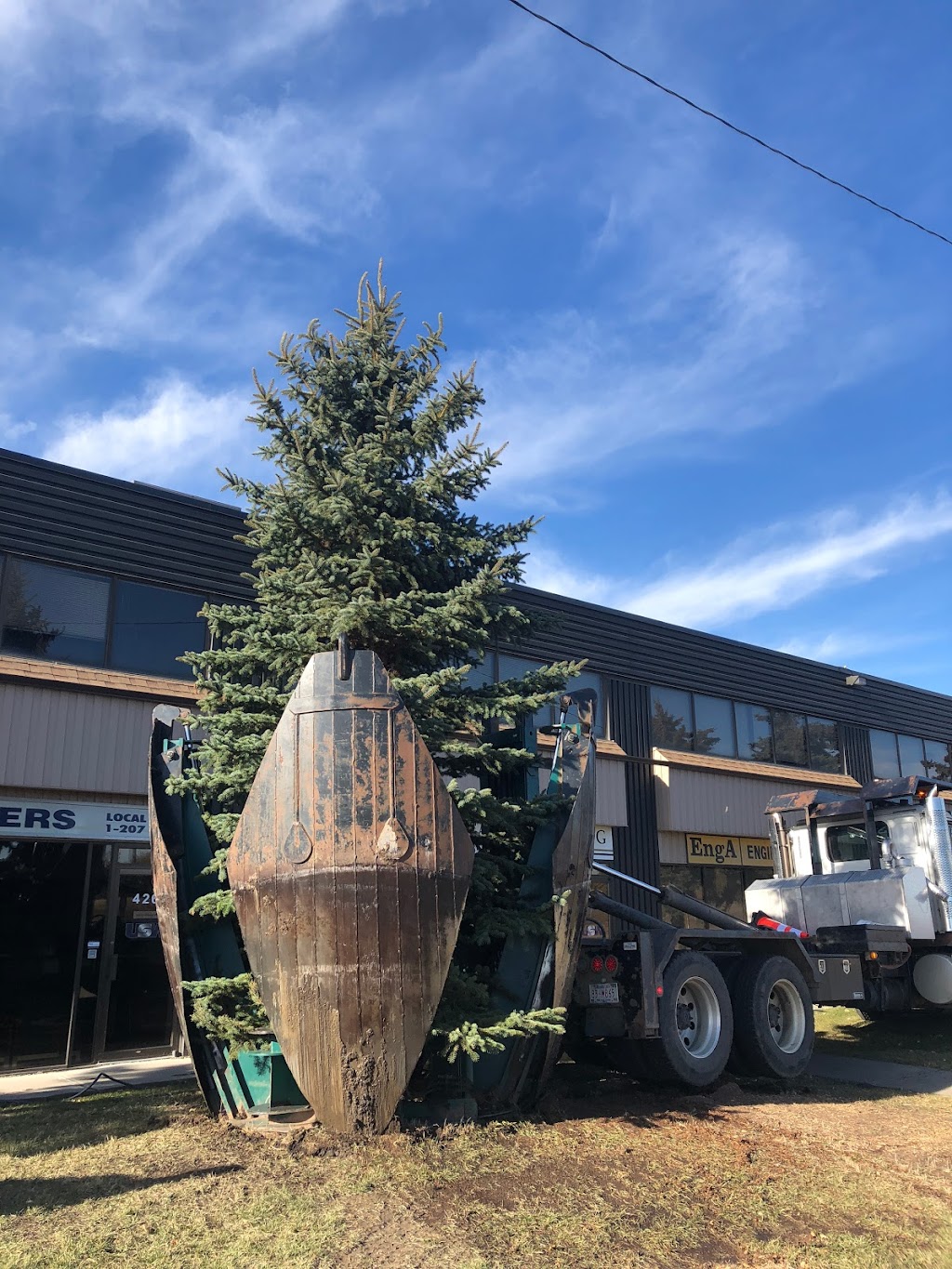 More Trees Please | 23013 Township Road 504, Leduc County, AB T0B 3M1, Canada | Phone: (780) 446-0414