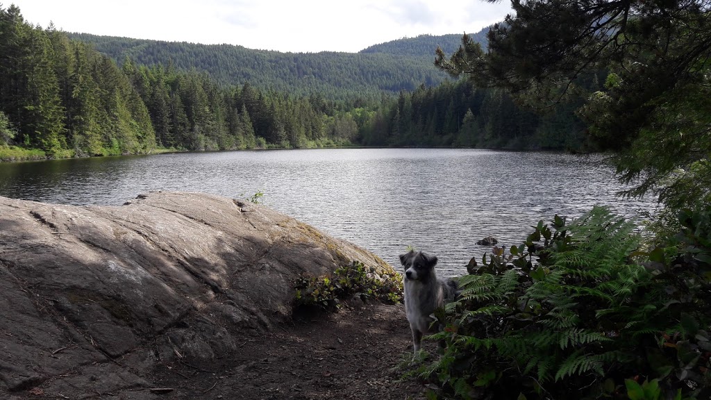 Stocking Lake Regional Park | 0A8, Stocking Lake Trail, Ladysmith, BC V9G 2C4, Canada | Phone: (250) 746-2500