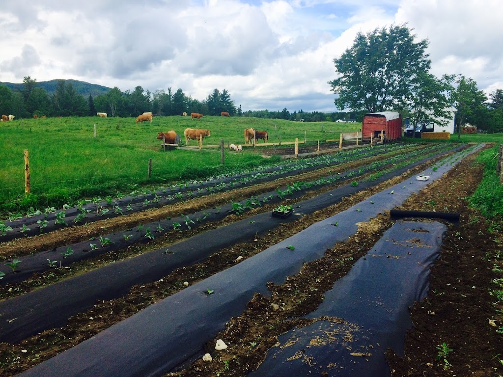 Ferme Gagne Magog Inc. | 150 Chem. des Pères, Magog, QC J1X 5R9, Canada | Phone: (819) 843-7874