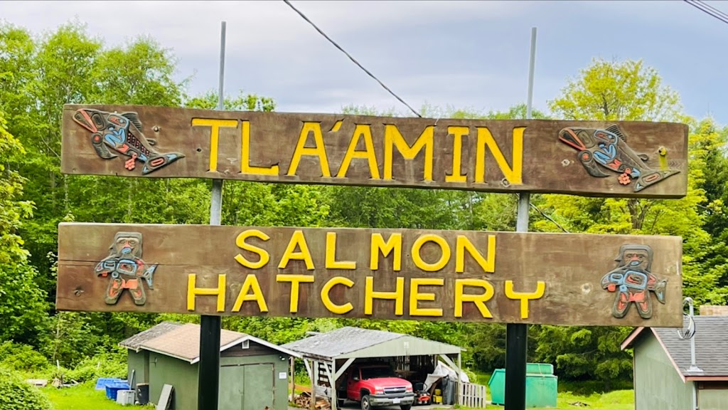 Tlaamin Salmon Hatchery | 5073 BC-101, Powell River, BC V8A 0B6, Canada | Phone: (604) 483-4111