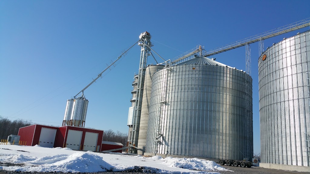 Maizeing Acres Inc | 157, County Rd 40, Quinte West, ON K0K 1L0, Canada | Phone: (705) 313-2082