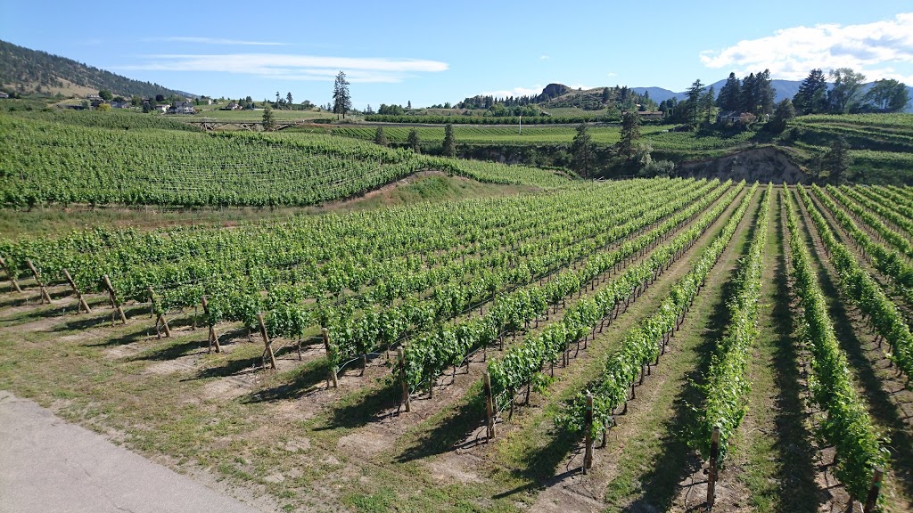 D’Angelo Estate Winery & Guest House | 979 Lochore Rd, Penticton, BC V2A 8V1, Canada | Phone: (250) 493-1364